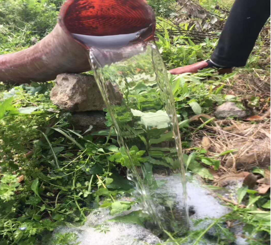 3800白綠凈化黃牌EHY5120TWJE6參數 3800白綠凈化黃牌EHY5120TWJE6參數